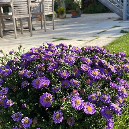 Zur Rundkapelle Διαμέρισμα *